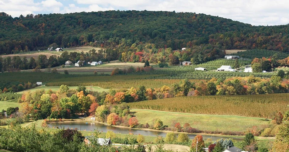 Autumn foliage with a lake and farmhouses.